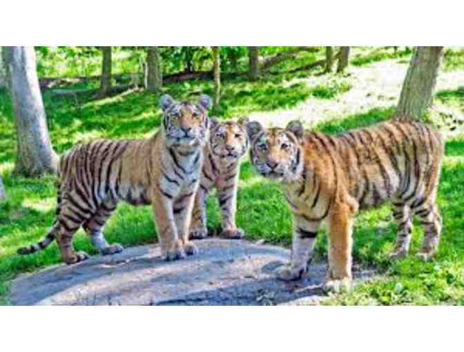 Get Up Close with This Exclusive Behind the Scenes Tour of the Bronx Zoo