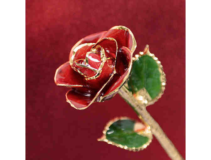 Real Rose Dipped in 24 Karat Gold