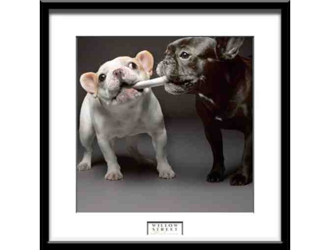 Studio Creative Photo shoot Package by Willow Street Pictures in West Lawn, PA