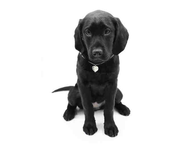 'Love' Silver Heart Braille Necklace