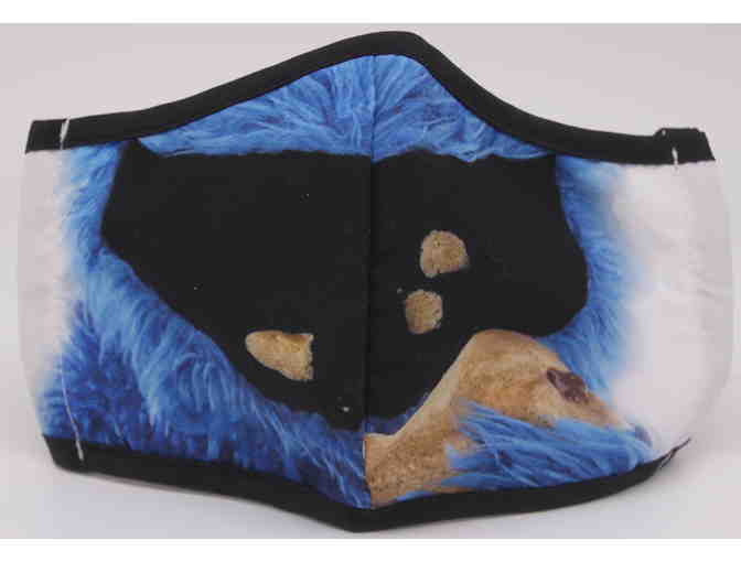 Stay Safe with These Sesame Street Adult Face Masks & Desert Essence Hand Sanitizer