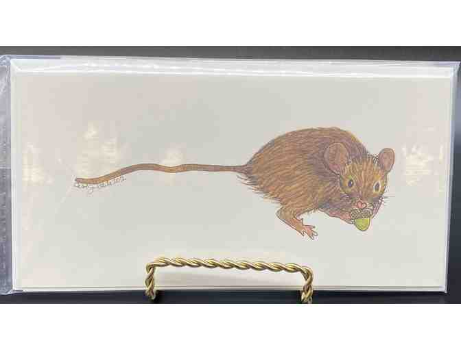 Variety Pack of Note Cards and Watercolor Print