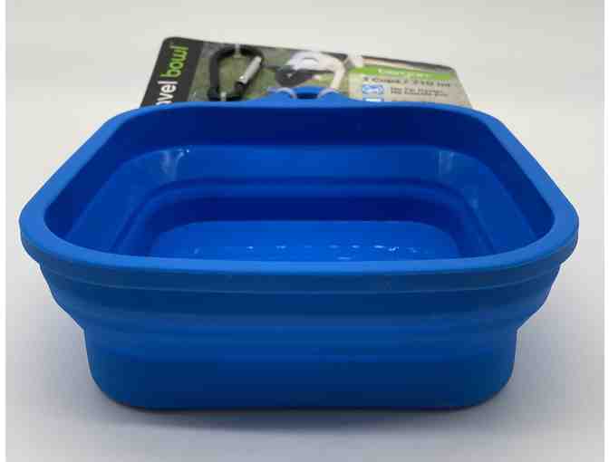 Pink Design 6' Leash and Blue 3 Cup Collapsible Travel Bowl
