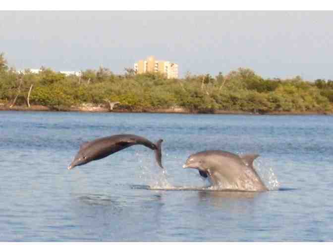Certificate for Boat or Kayak Tours by Marine Discovery Center in New Smyrna Beach, FL