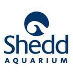 Shedd Aquarium