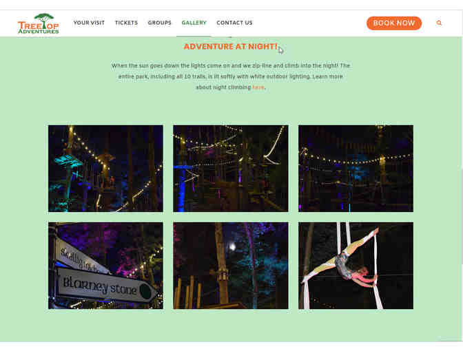 Two Tickets to TreeTop Adventures at the Irish Cultural Center in Canton, MA