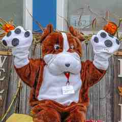 Sappy says Thank You!