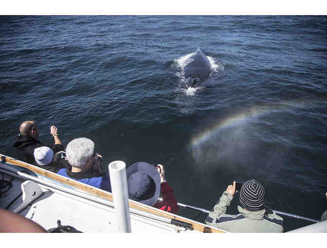 Monterey Bay Whale Watching Cruise for Two + Lunch at Gayle's Bakery & Rosticceria