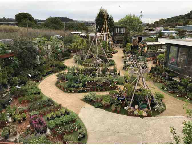 CNL Native Plant Nursery in Mill Valley - $100