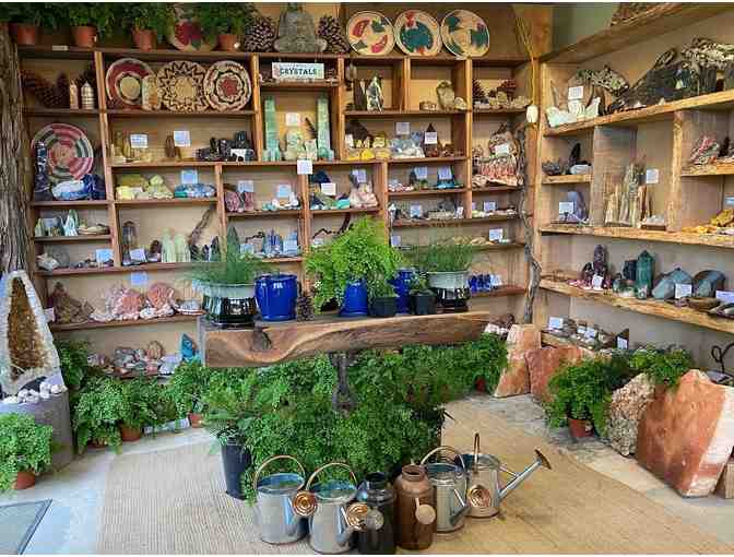 CNL Native Plant Nursery in Mill Valley - $100