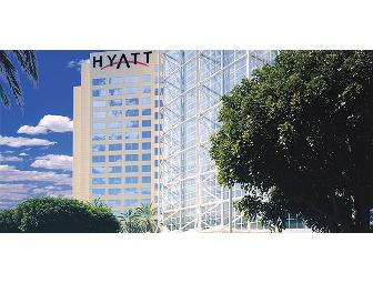 The Magic of Disney!