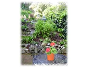 Charming Sausalito Cottage-Yours for 7 Days!