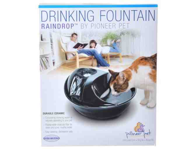 Pet Pioneer Ceramic 60 oz Drinking Fountain