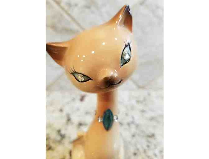 Pale Pink and Brown Cat with Jeweled Eyes and Collar