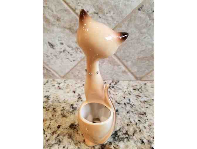 Pale Pink and Brown Cat with Jeweled Eyes and Collar