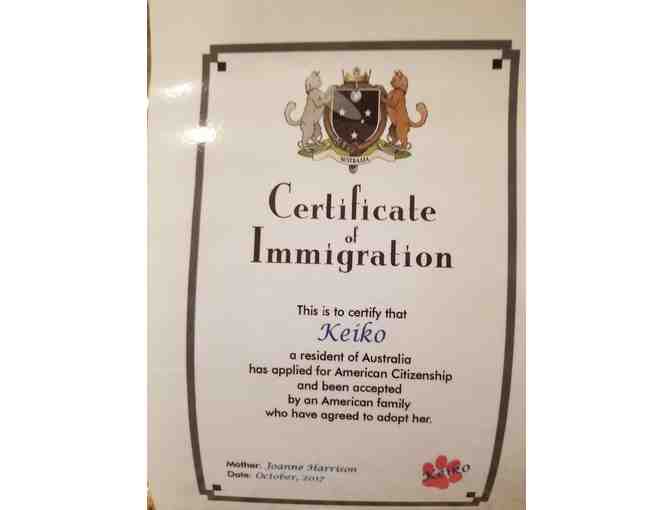 'Keiko' Ready for Adoption from Australia