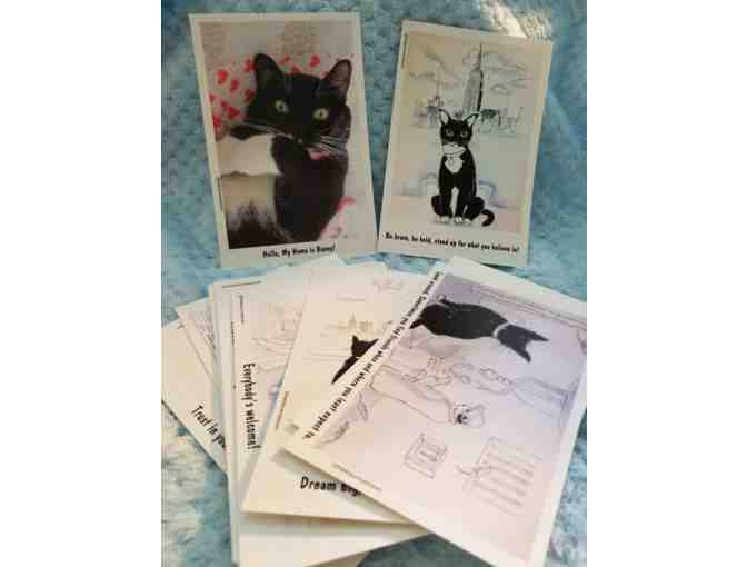 Feline Post Cards- Set of 15