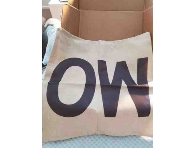 Lot of Two Pillow Covers- MEOW