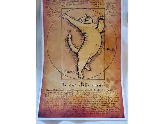 Lot  B - Five Cat Art Posters