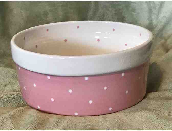 Princess Food/Water Bowl 48 oz