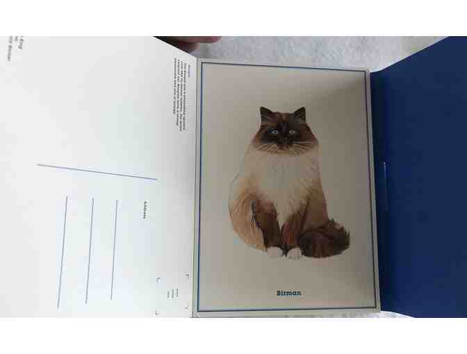 Cat Postcards and Blank Inside Cards