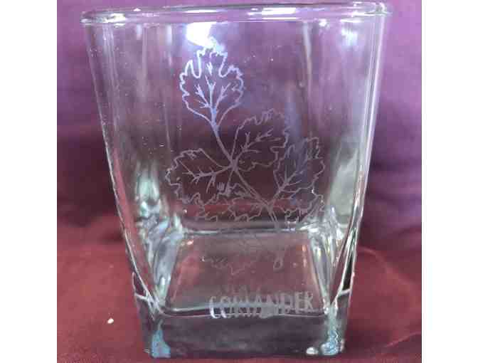 Etched Drinking Glasses - Set of 4 - Herbs