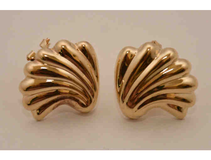 14K Gold Shell Earrings