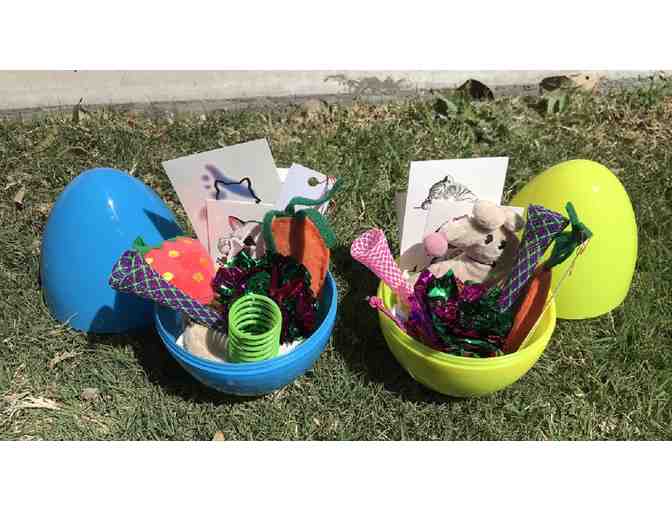 Mystery Cat Themed Easter Egg