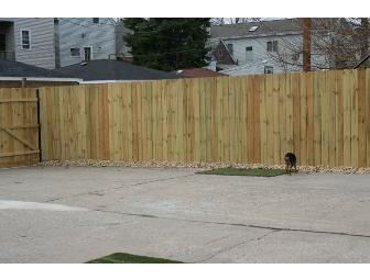 Small Dog Daycare at Earth Pups (5 days)