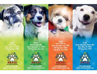 Dog of the Year 2010