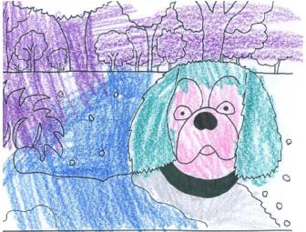 Dog of the Year 2010