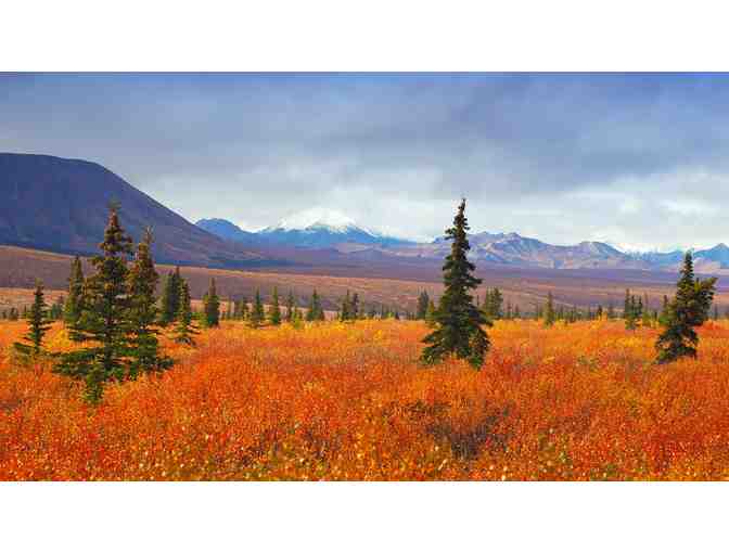 Amazing Alaska: Ride the Alaska Railroad Denali or Aurora Borealis 5 Night Adventure for 2 - Photo 2