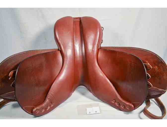 English Saddle 15.5 Kincade