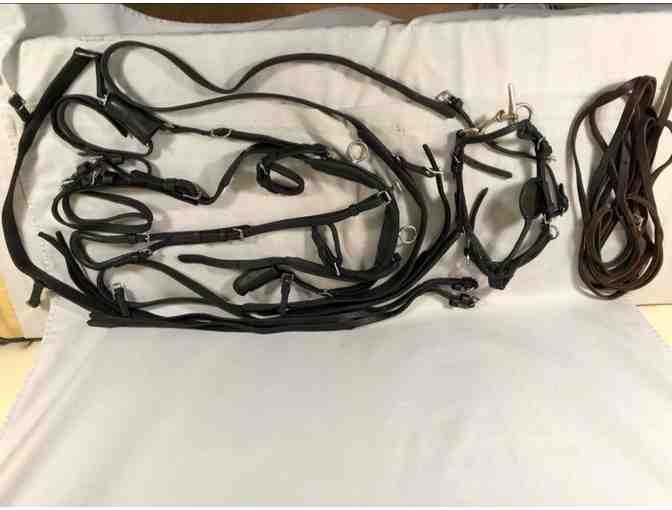 Complete Mini Horse Harness set