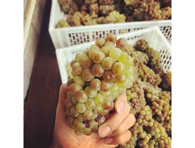 HomeBrew Barn - Choice of Class for Two plus $25 Gift Card