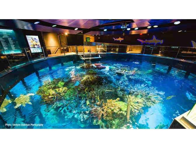 Hotel Commonwealth/Top of the Hub Boston Package