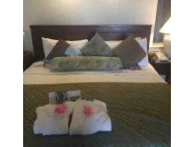 Antigua 7 nights for 4 people at the luxurious Galley Bay Resort & Spa