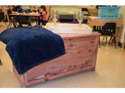 Little Dippers & Starlets 2yr old Class Project