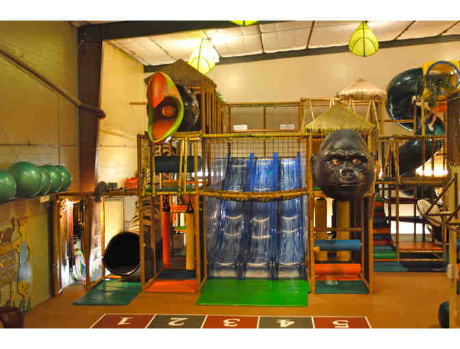 Safari Run Open Play Punch Card