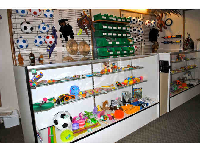 Safari Run Open Play Punch Card