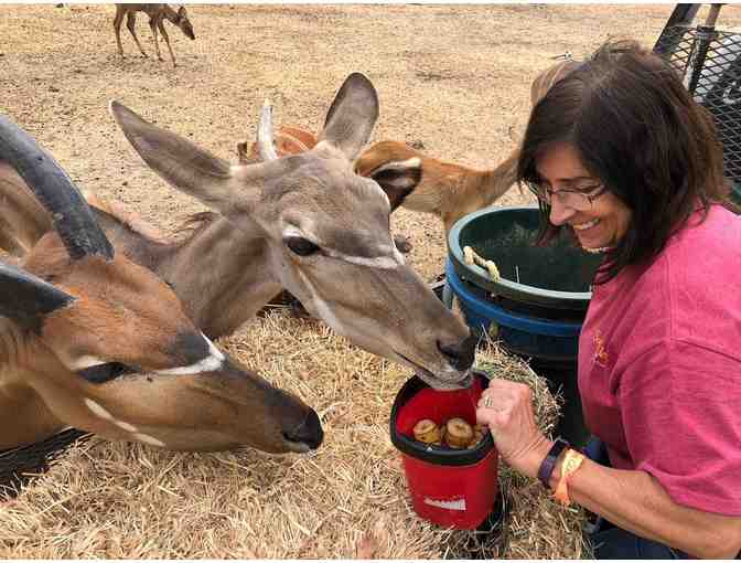 Gift Certificate to Safari West - African Safari Adventure for Two (Overnight stay & more)