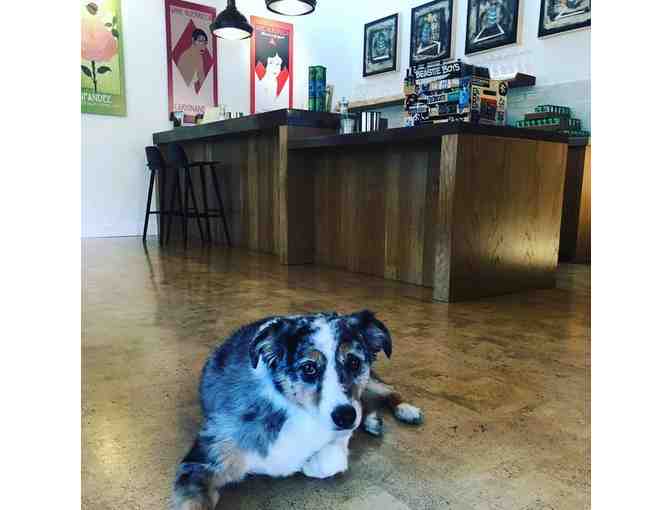 Wine tasting for 4 at Wine Guerrilla in Forestville