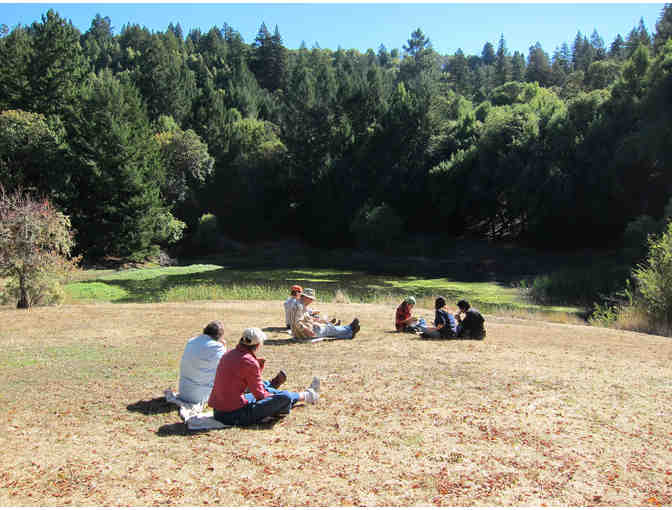 2 Nights of Camping at Austin Creek's Bullfrog Pond Campground