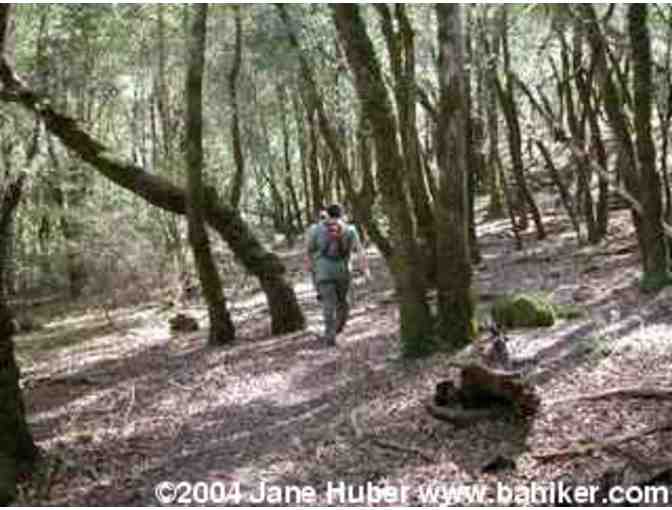 2 nights of Backcountry camping at Austin Creek SRA - Just for Backpackers