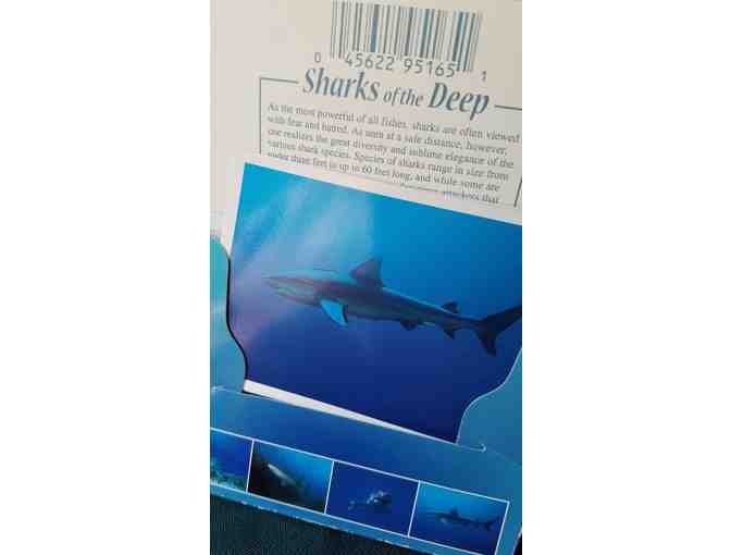 Ocean Lover's Bundle #1