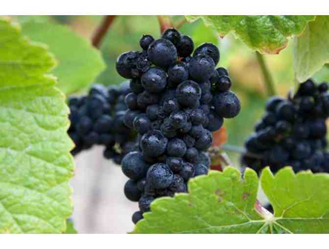 Dutton Goldfield 2015 Redwood Ridge Pinot Noir (Sonoma Coast) + VIP Tasting for 4