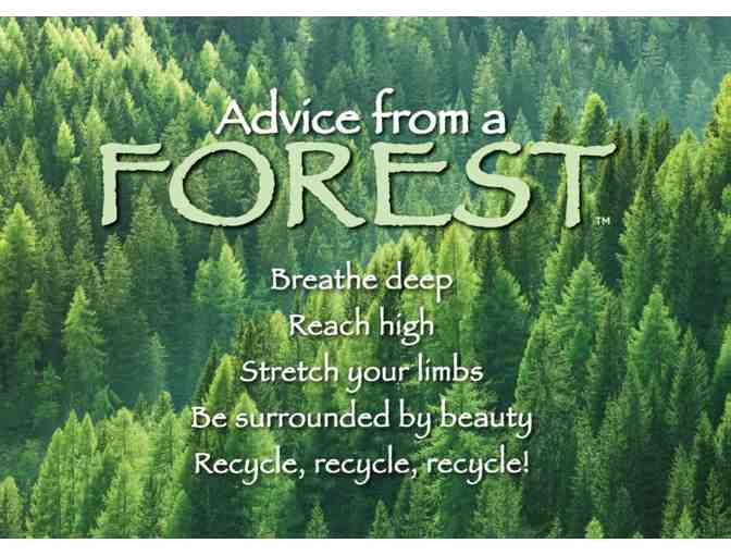 Young Readers Pack #1