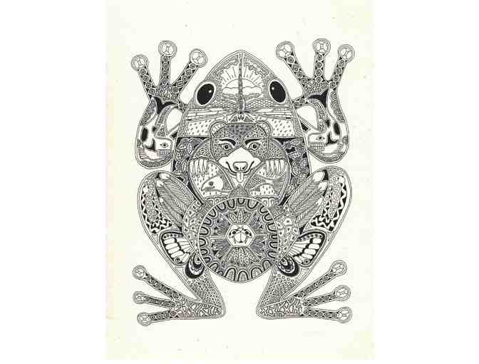 Coastal Critters Coloring Book by Sue Coccia