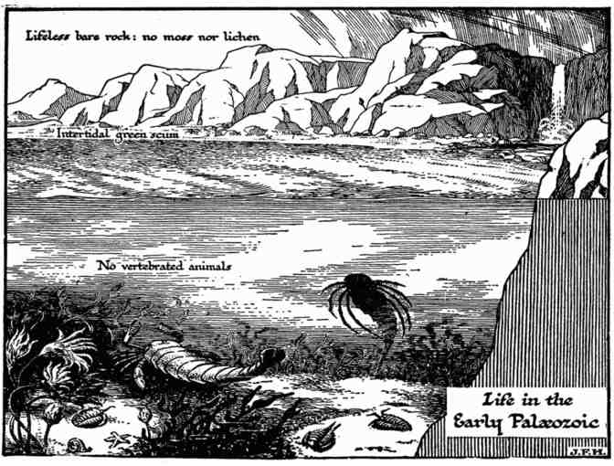 The Outline of History: The Whole Story of Man by H.G. Wells - 2 volumes