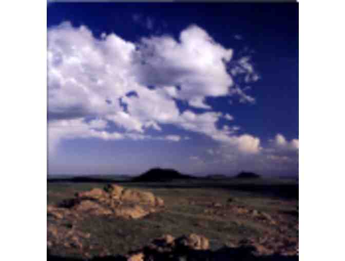 Weekend Houses by Penelope Rowlands